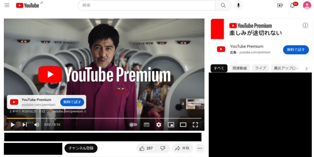 Youtube広告の表示例