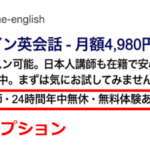 コールアウト表示オプションの例